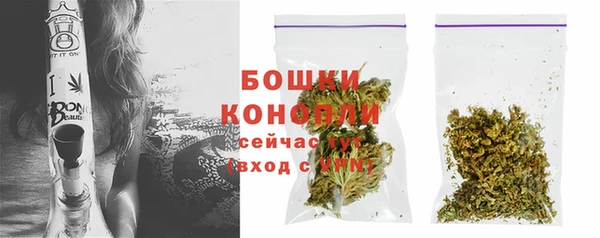 ГАЛЛЮЦИНОГЕННЫЕ ГРИБЫ Абдулино
