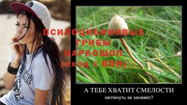 героин Абаза