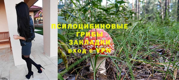 ГАЛЛЮЦИНОГЕННЫЕ ГРИБЫ Абдулино