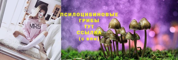 Альфа ПВП Абинск